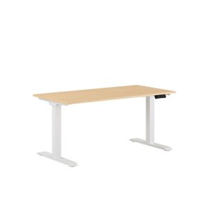 Premium Höj- och sänkbord med 2 motorer 140x70cm