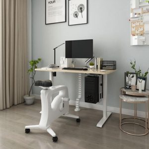 EASY Höj-/Sänkbord m/1 motor 100x60cm